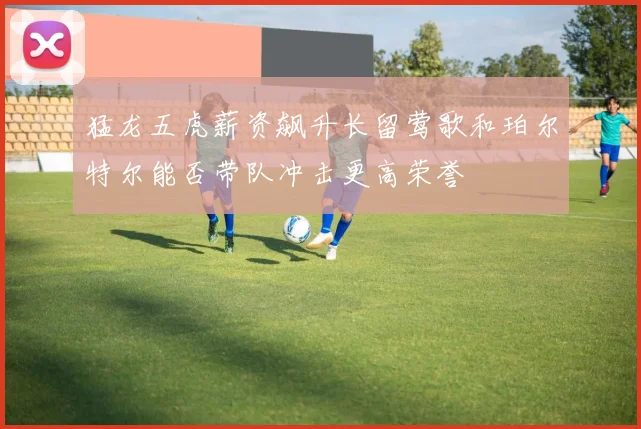 猛龙五虎薪资飙升长留莺歌和珀尔特尔能否带队冲击更高荣誉